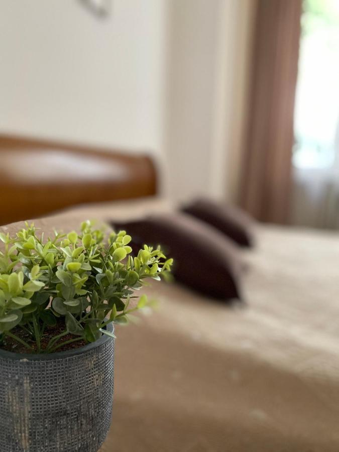 Family Apartment Lviv Bagian luar foto